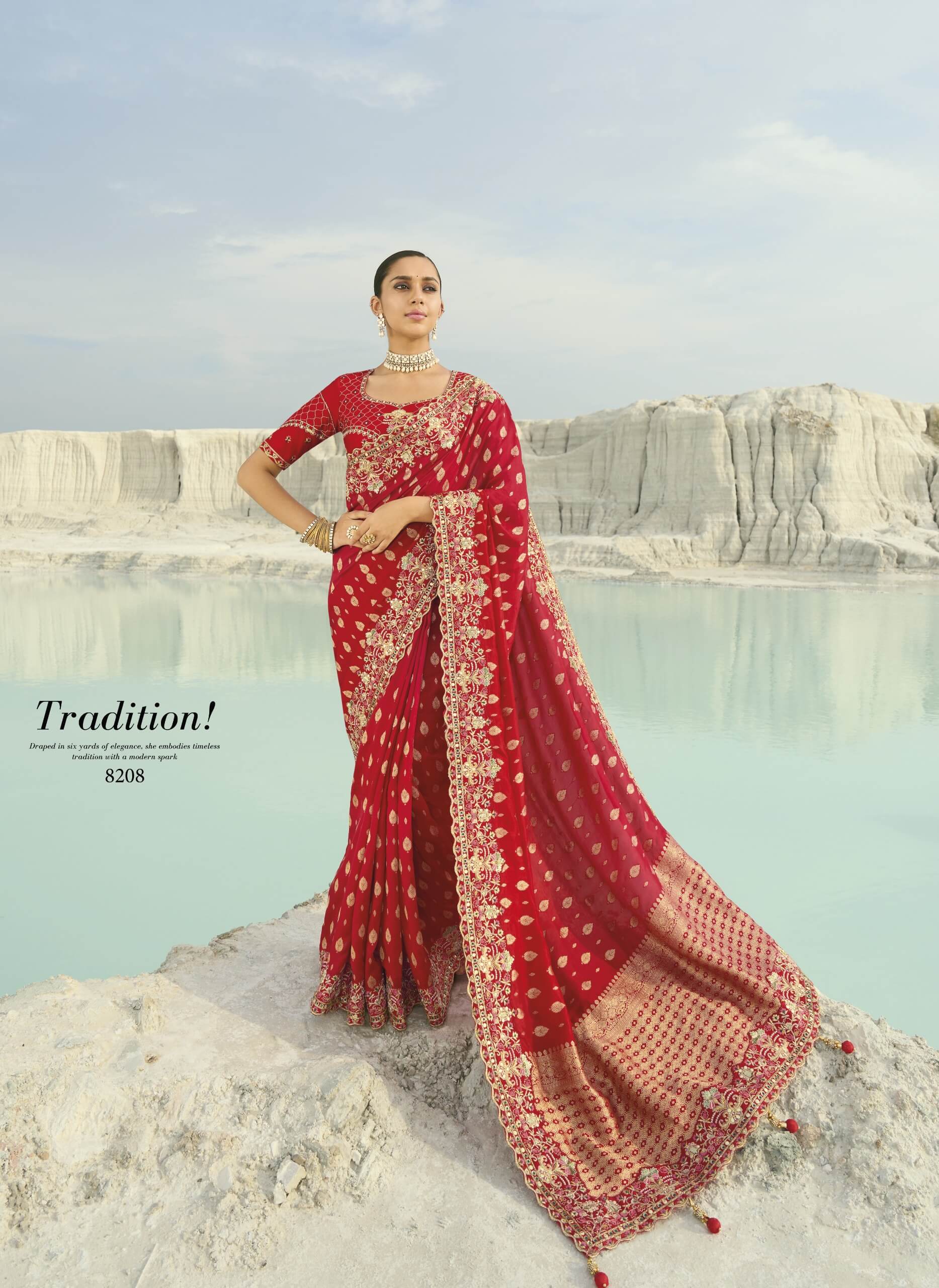 Stunning Embroiderd Sari with Blouse